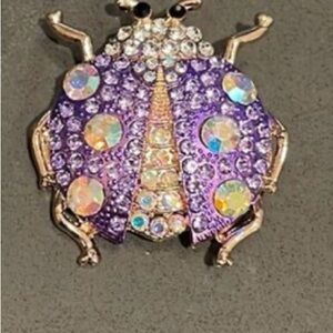 Purple and Gold Rhinestone Ladybug Brooch